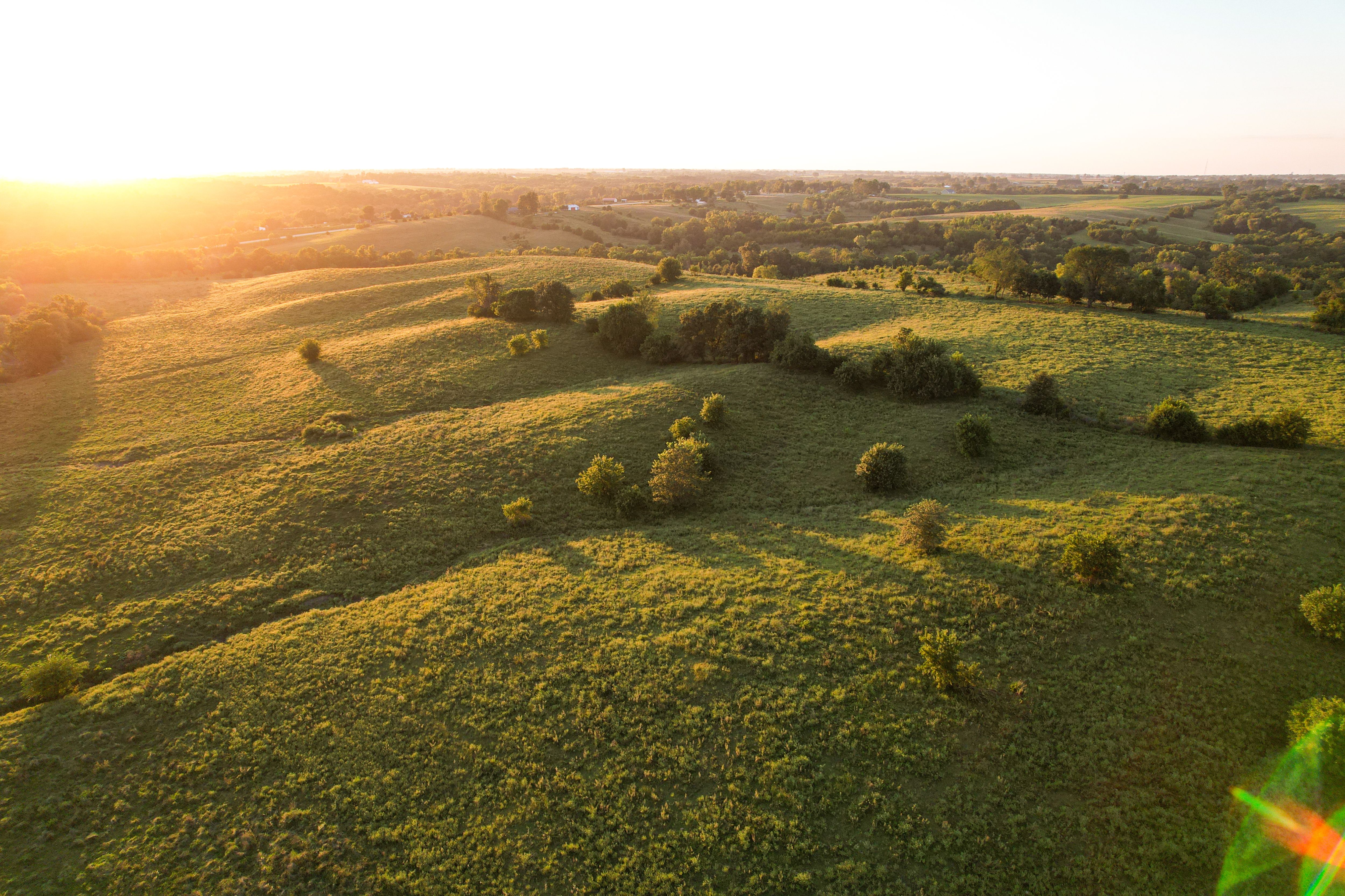 Listing Photo: Photo Aug 20 2025, 7 36 22 PM